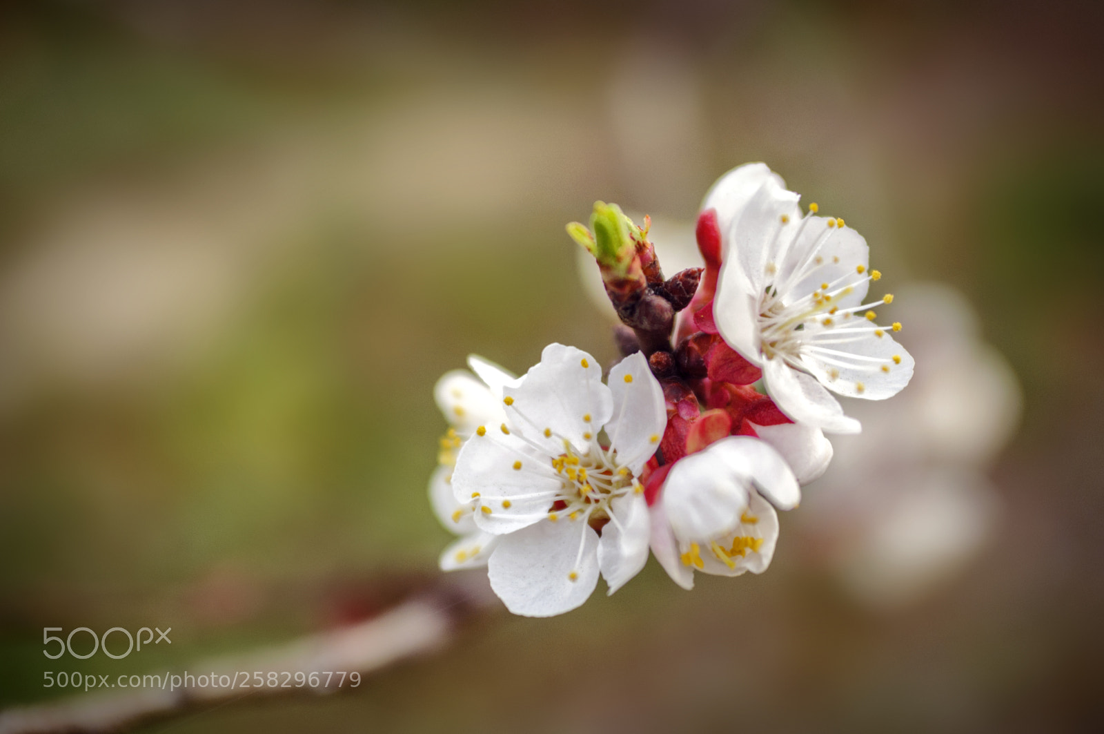 Nikon D90 sample photo. ... photography