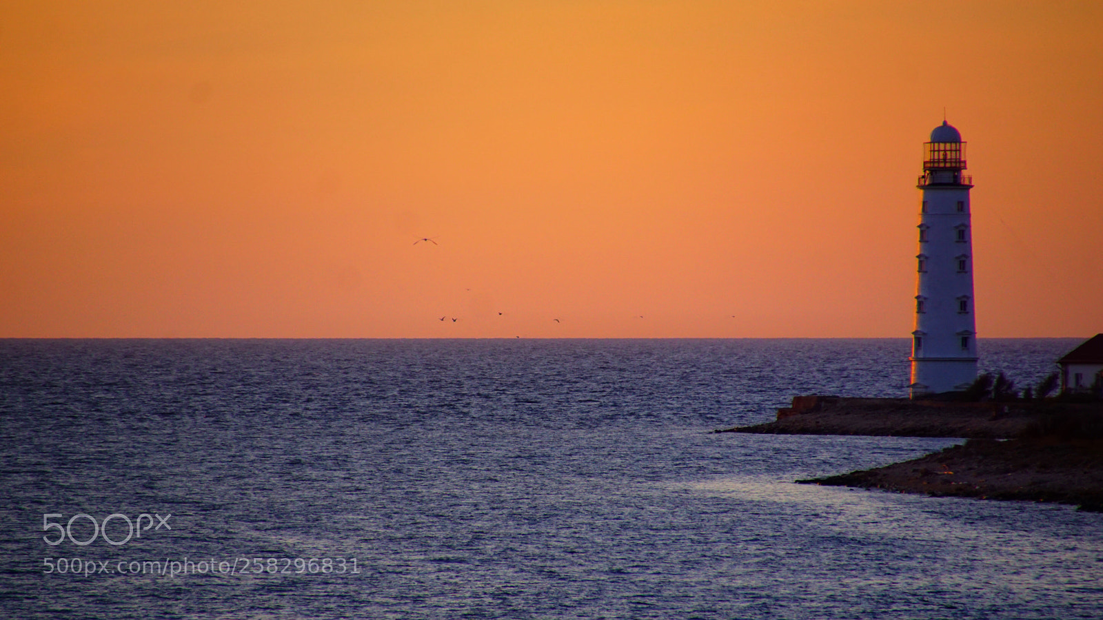 Sony ILCA-77M2 sample photo. Untitled photography