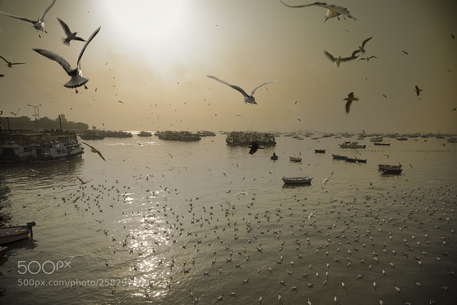 Nikon D800E sample photo. Colaba harbour photography