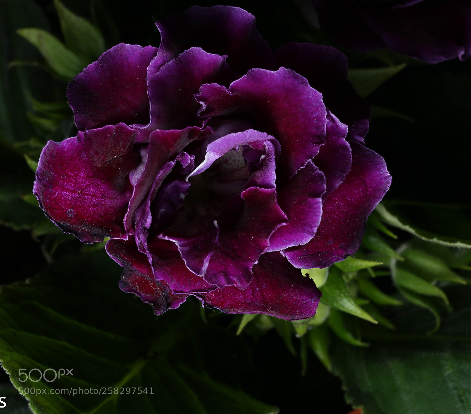 Canon EOS 6D sample photo. Untitled photography