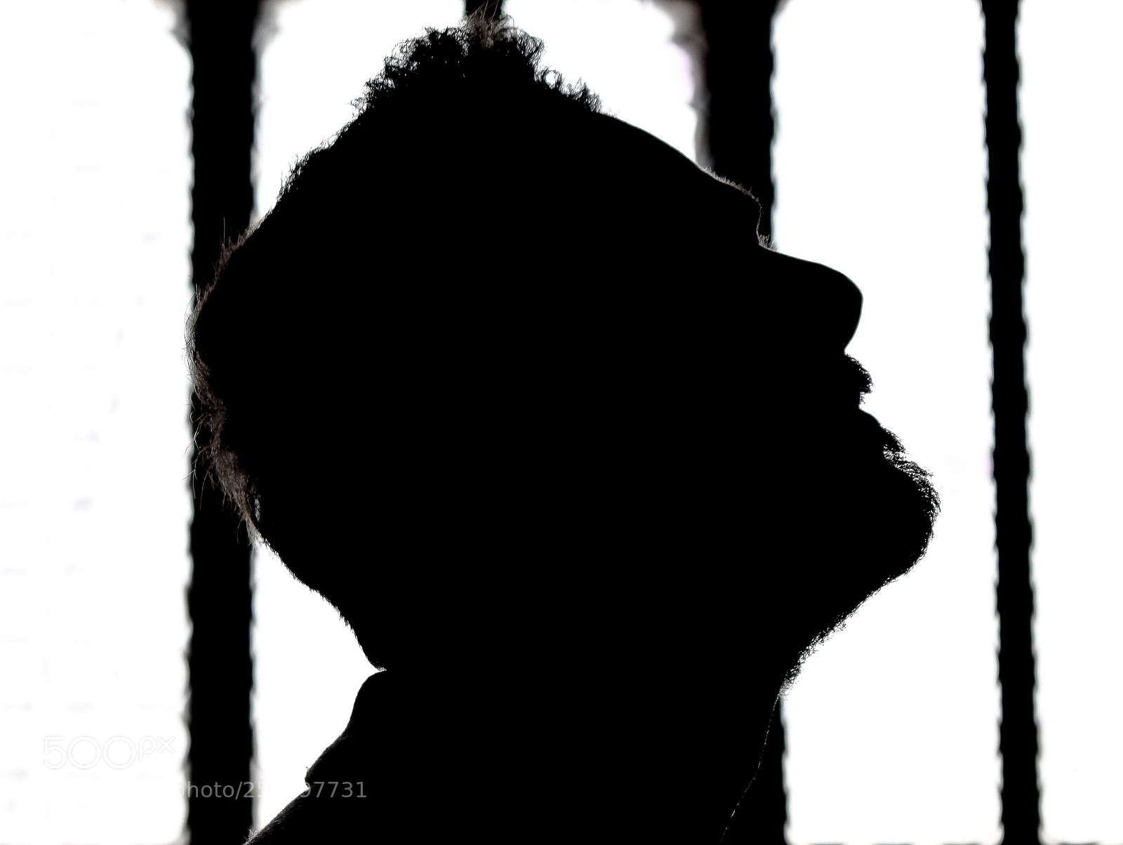 Nikon D5600 sample photo. Profile. photography