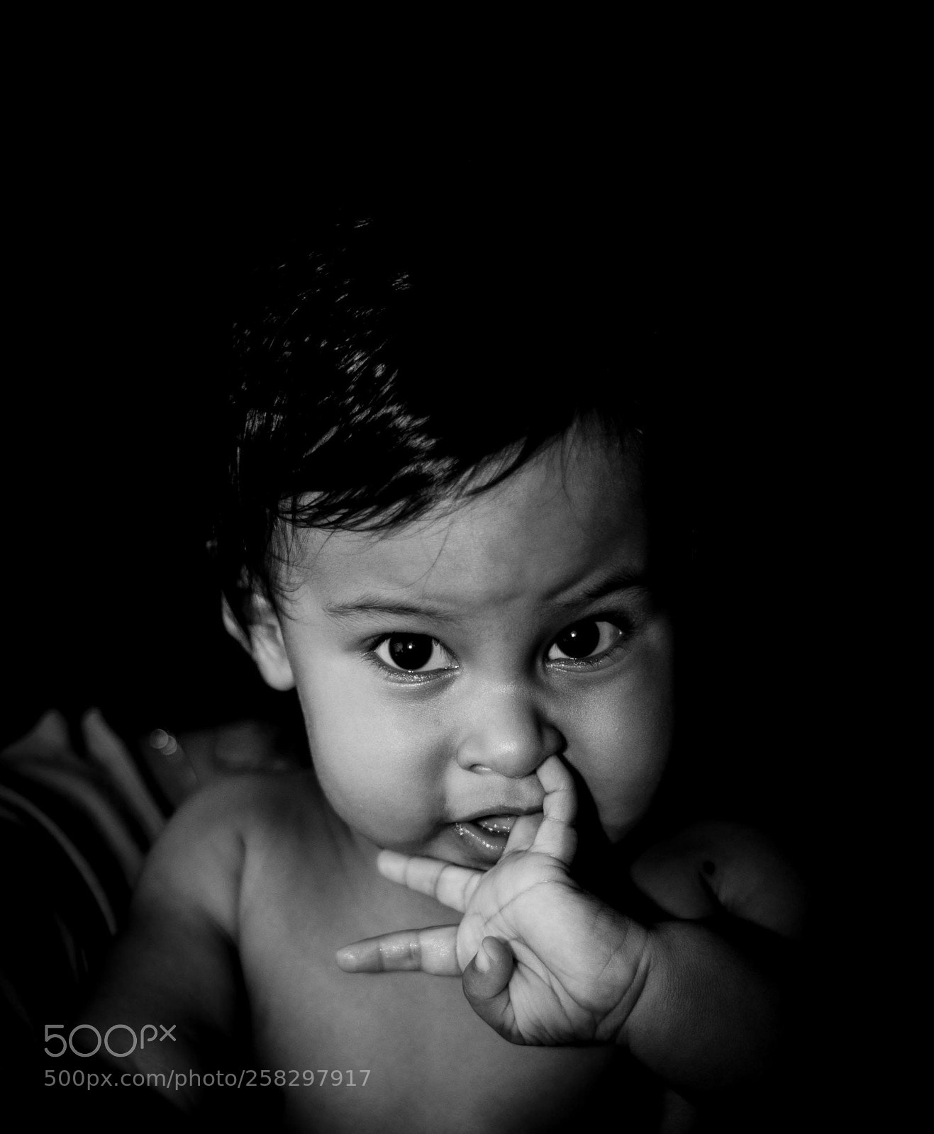 Nikon D5000 sample photo. Untitled photography