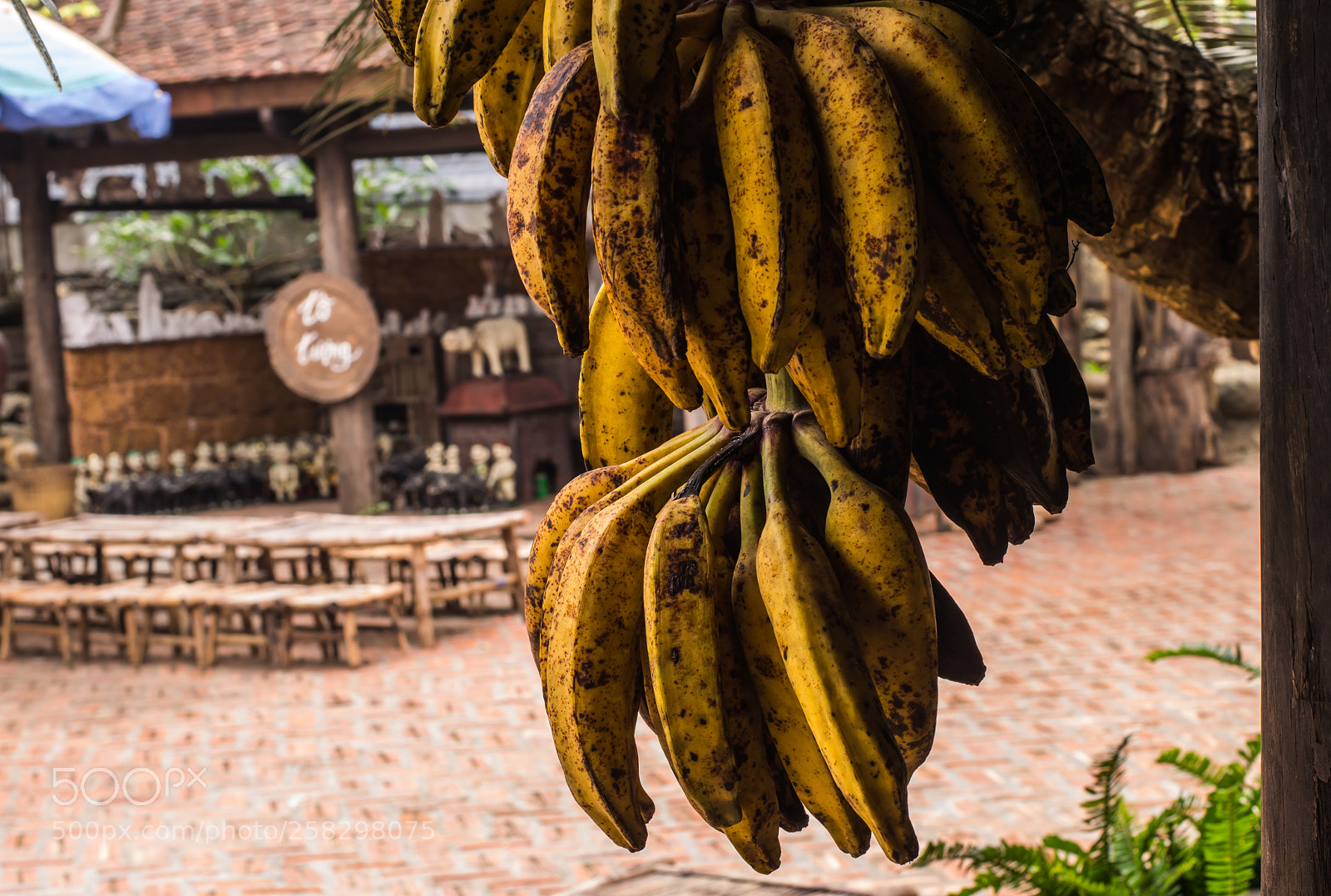 Nikon D3200 sample photo. Banana photography