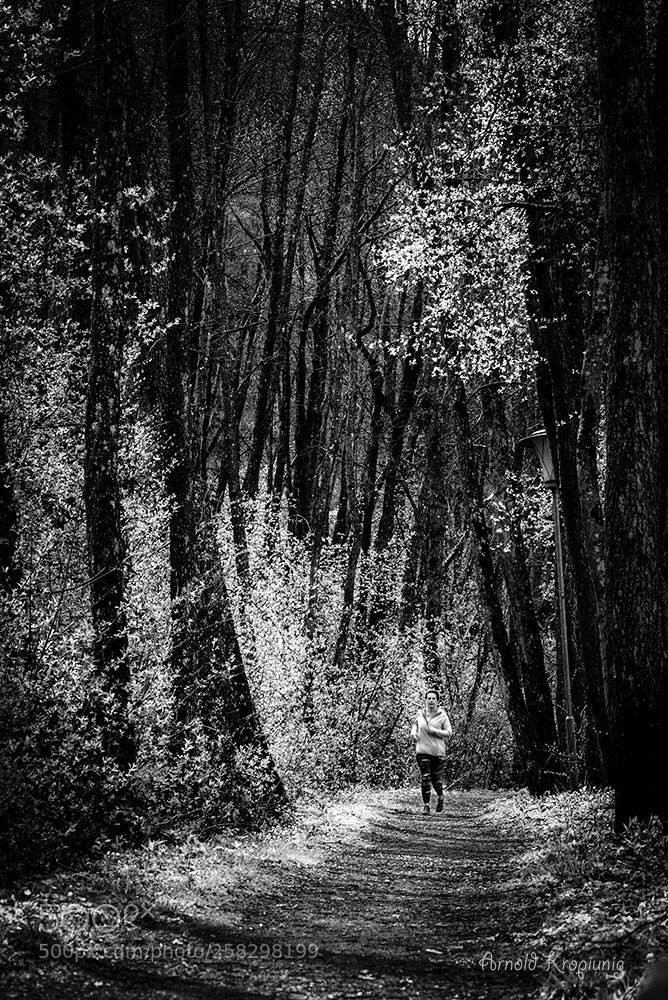 Nikon D750 sample photo. Waldlauf  photography