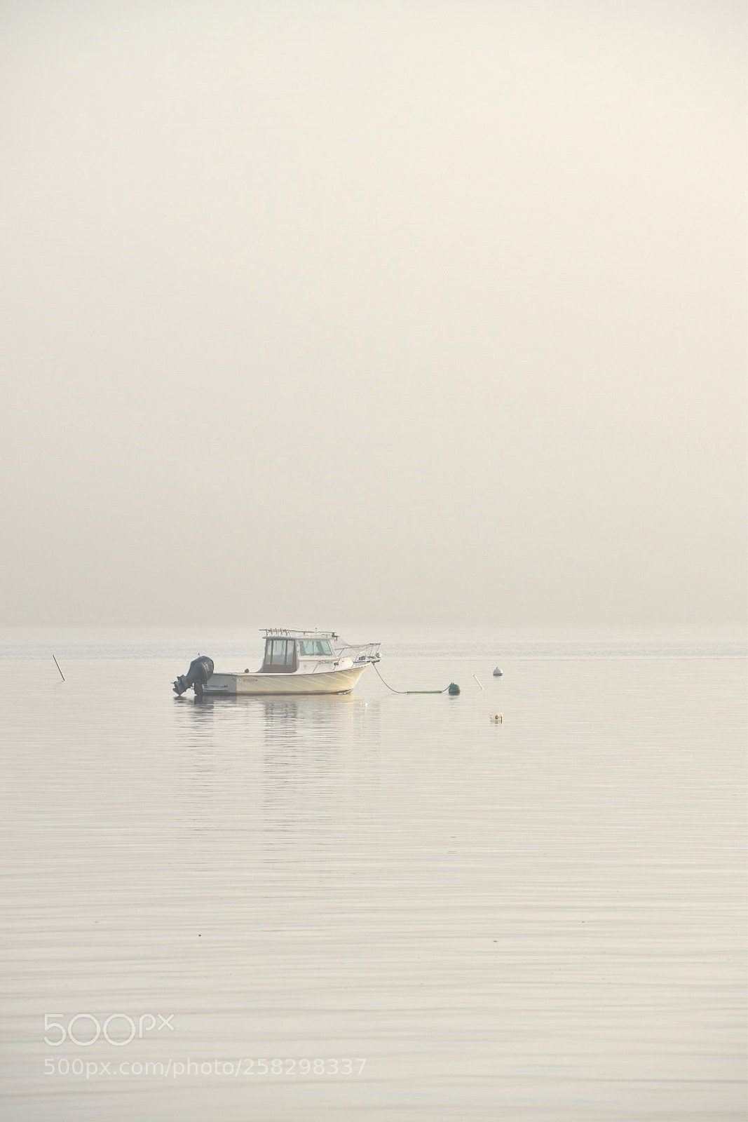 Nikon D5500 sample photo. Sunlit fog photography