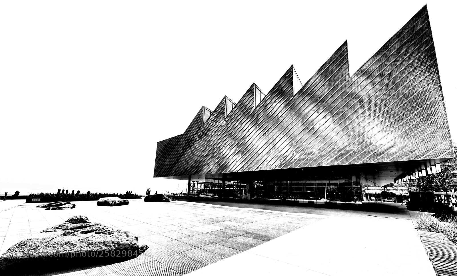 Nikon D850 sample photo. Polygon gallery in high photography