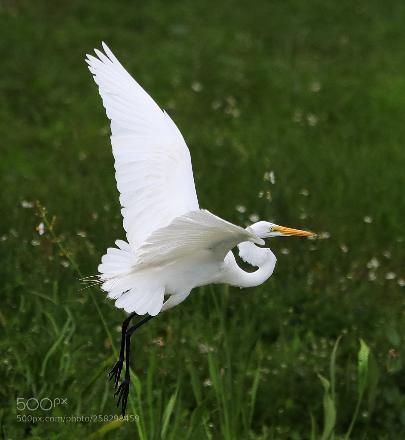 Canon EOS-1D X Mark II sample photo. 05-17-18-0018043.jpg photography
