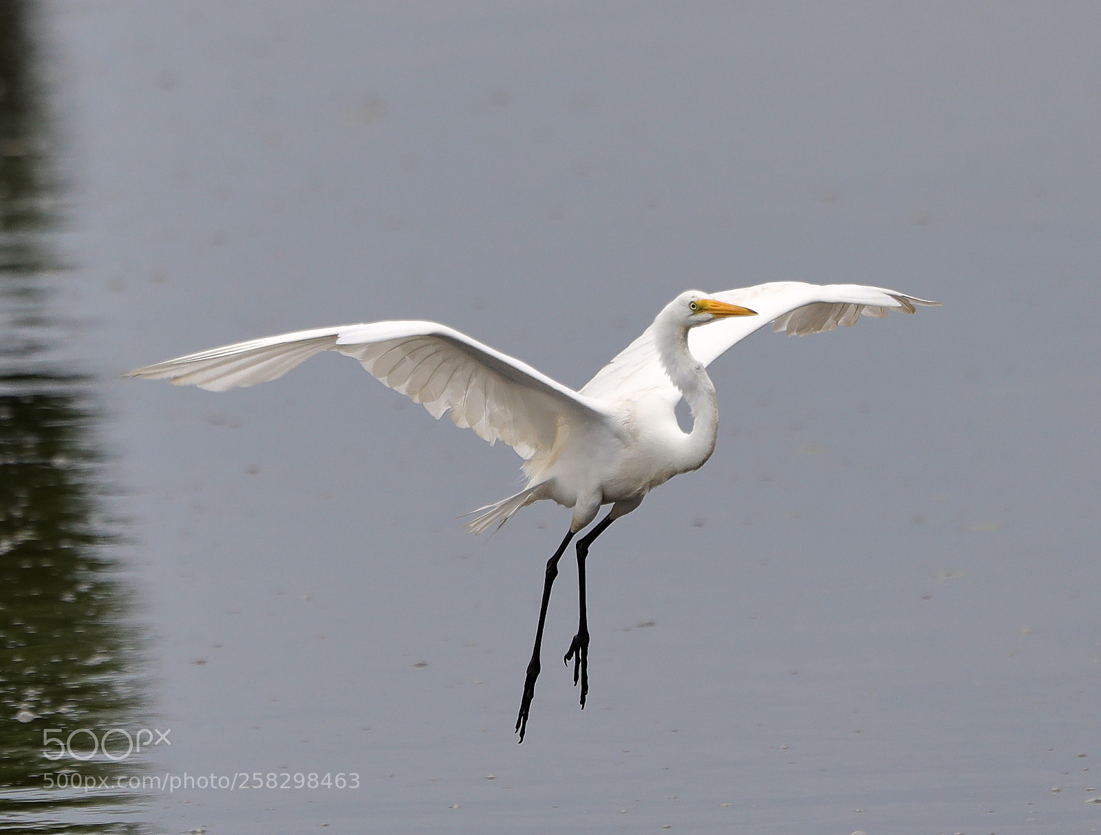 Canon EOS-1D X Mark II sample photo. 05-17-18-0018035.jpg photography
