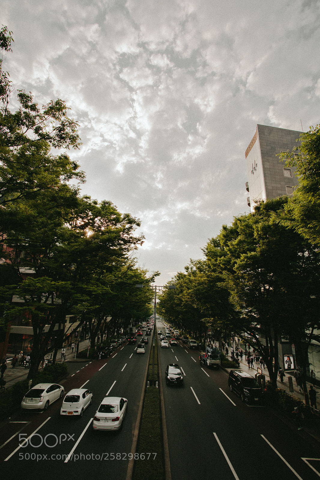Canon EOS 5D Mark IV sample photo. Untitled photography