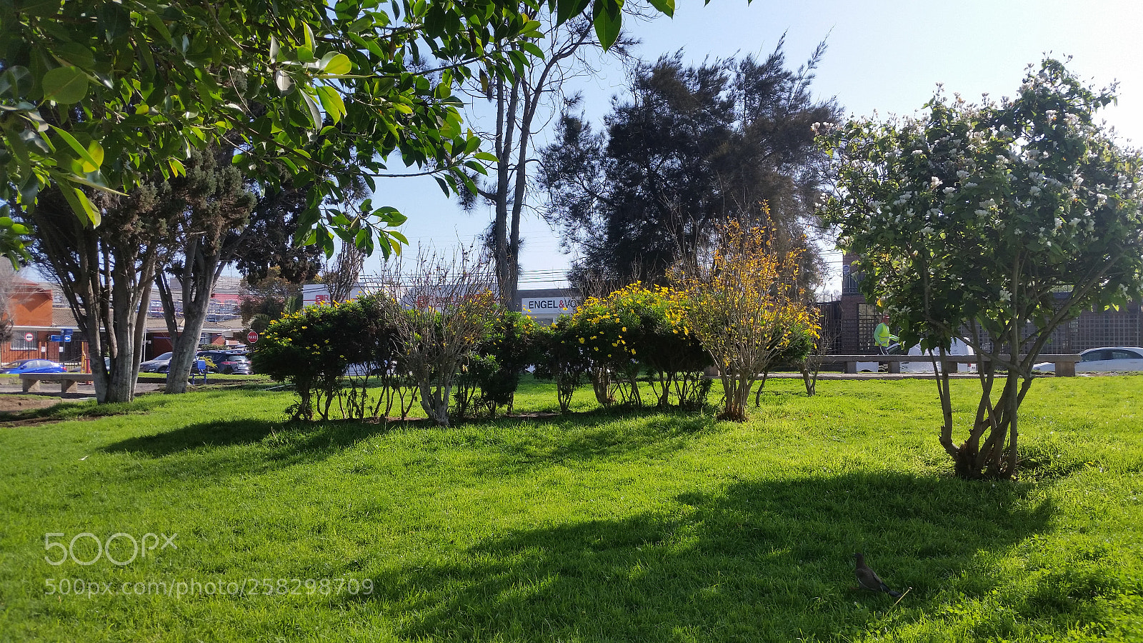 Samsung Galaxy S5 sample photo. Untitled photography