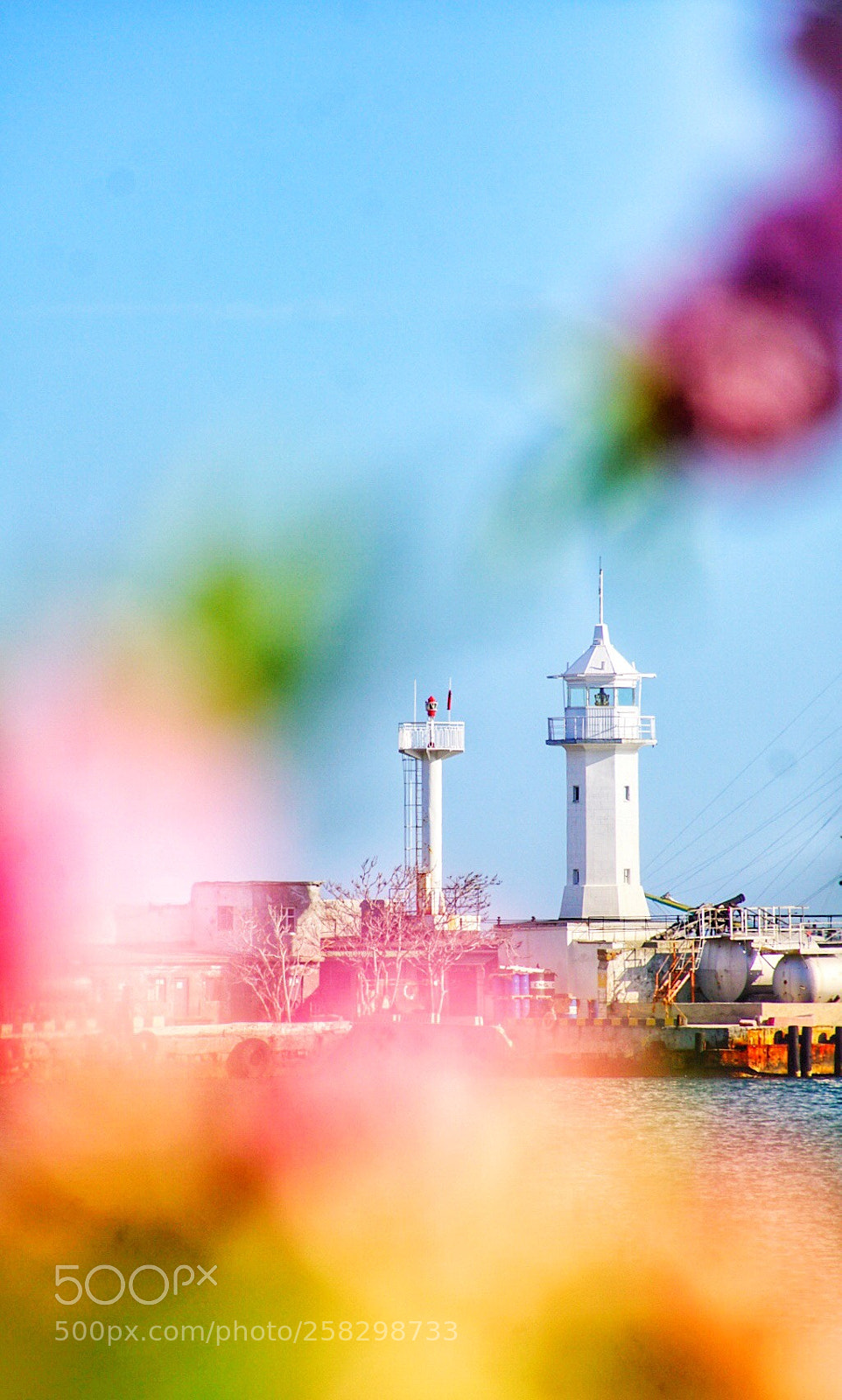 Sony ILCA-77M2 sample photo. Untitled photography