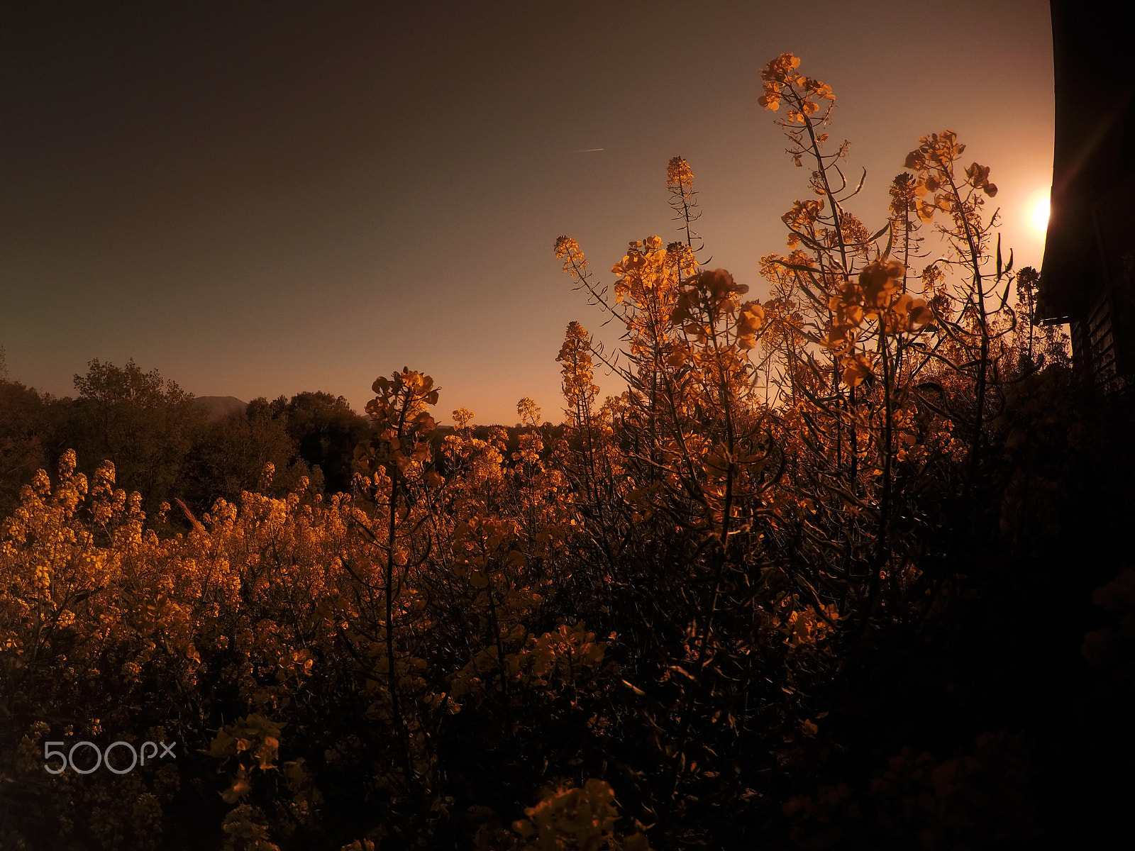 GoPro HERO4 Silver sample photo. Countryside sunset. photography