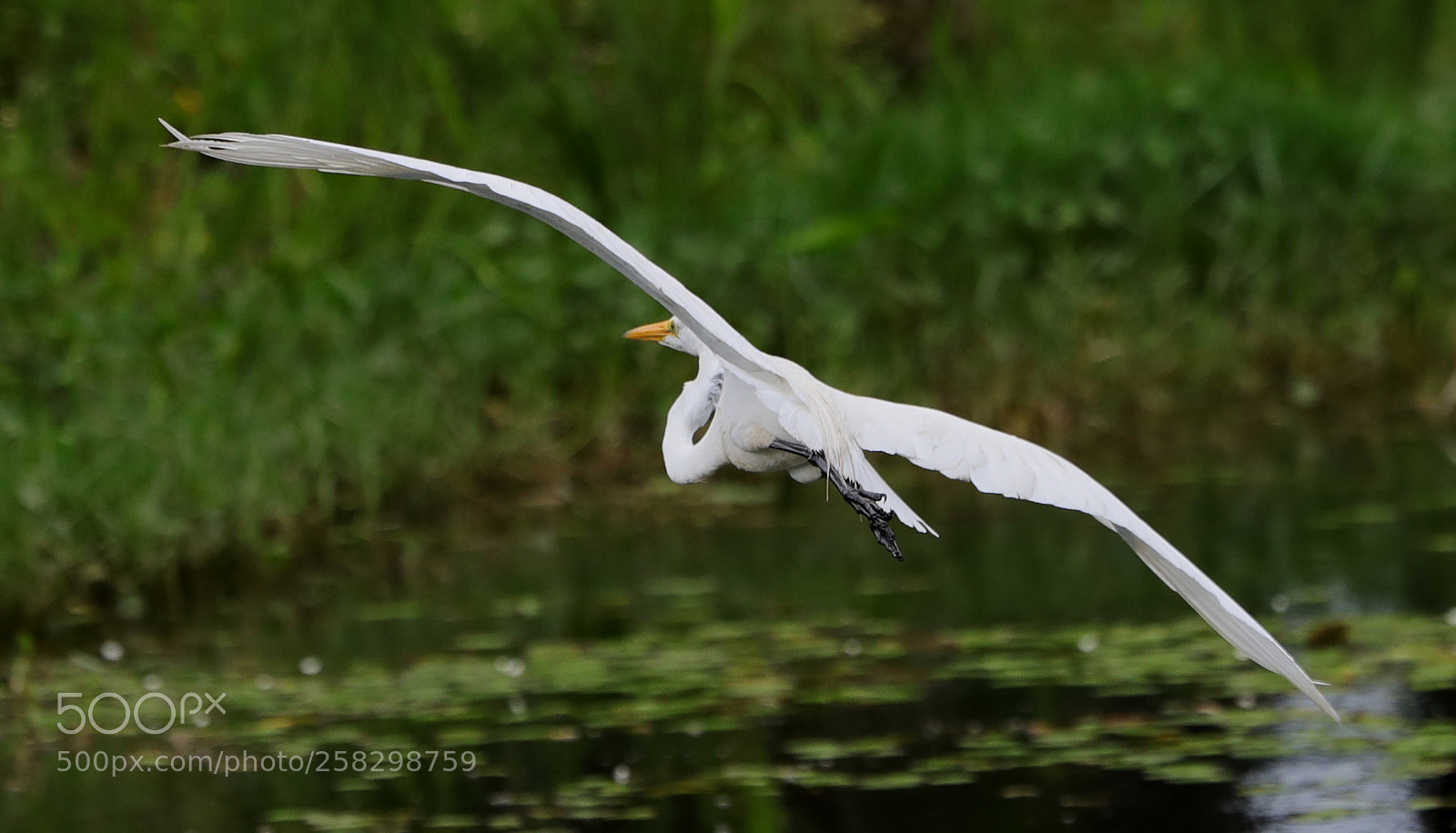 Canon EOS-1D X Mark II sample photo. 05-17-18-0018012.jpg photography