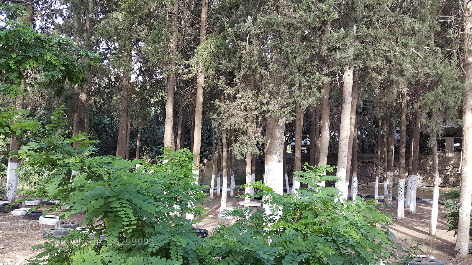 Samsung Galaxy Note5 sample photo. Untitled photography