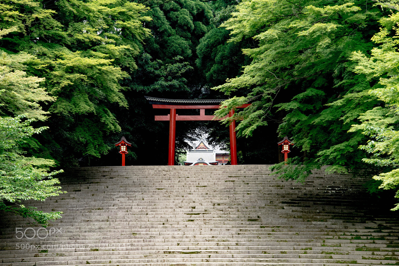 Nikon D600 sample photo. Kirishima shrine photography