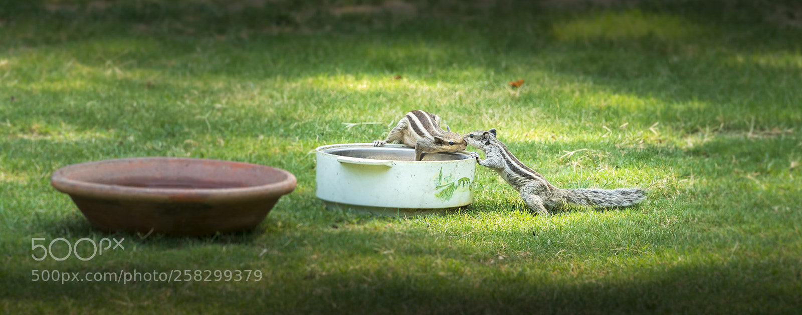 Sony a7R II sample photo. Love photography