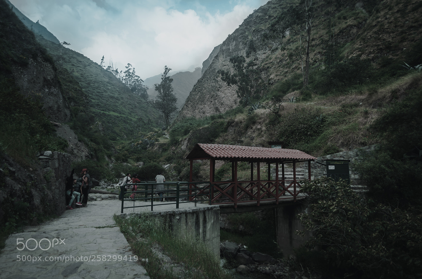 Nikon D5100 sample photo. A pagar la entrada photography