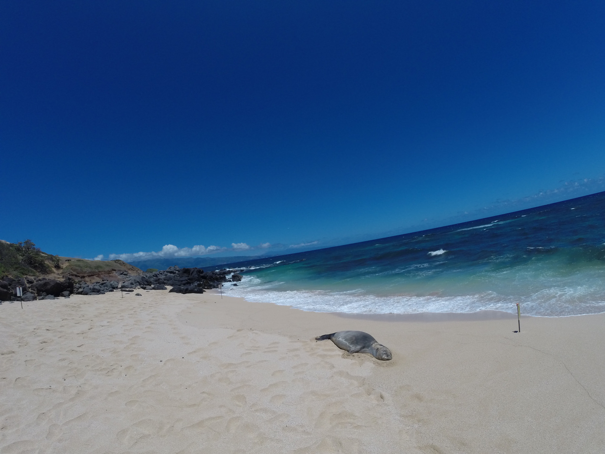 GoPro HERO3+ Black Edition sample photo. Lazy dayzzz photography