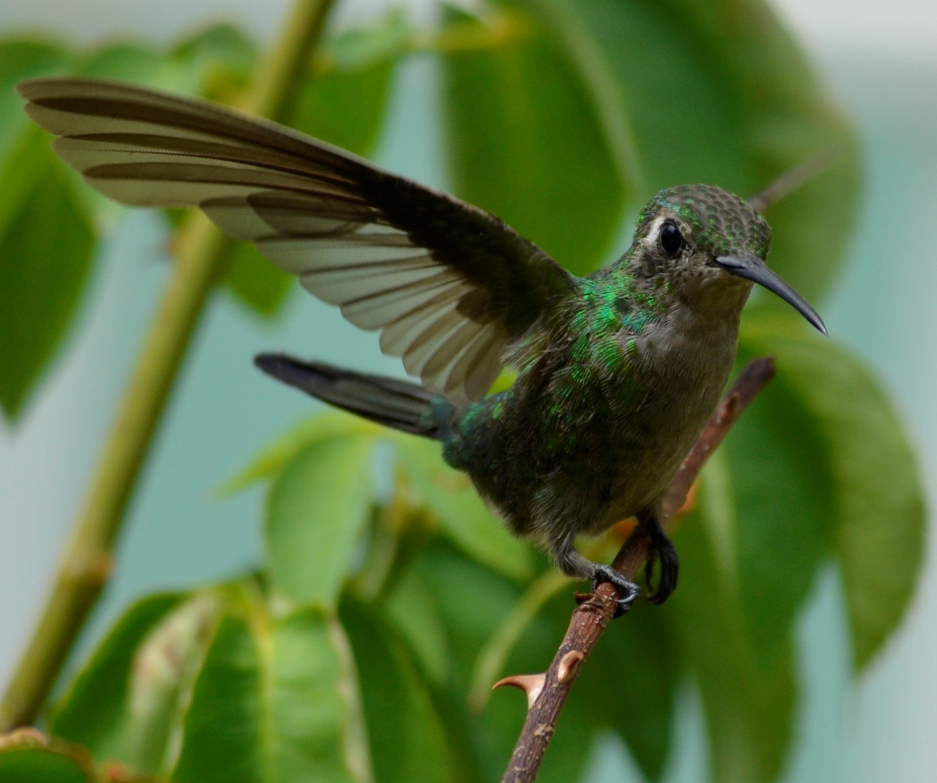 Nikon D5100 sample photo