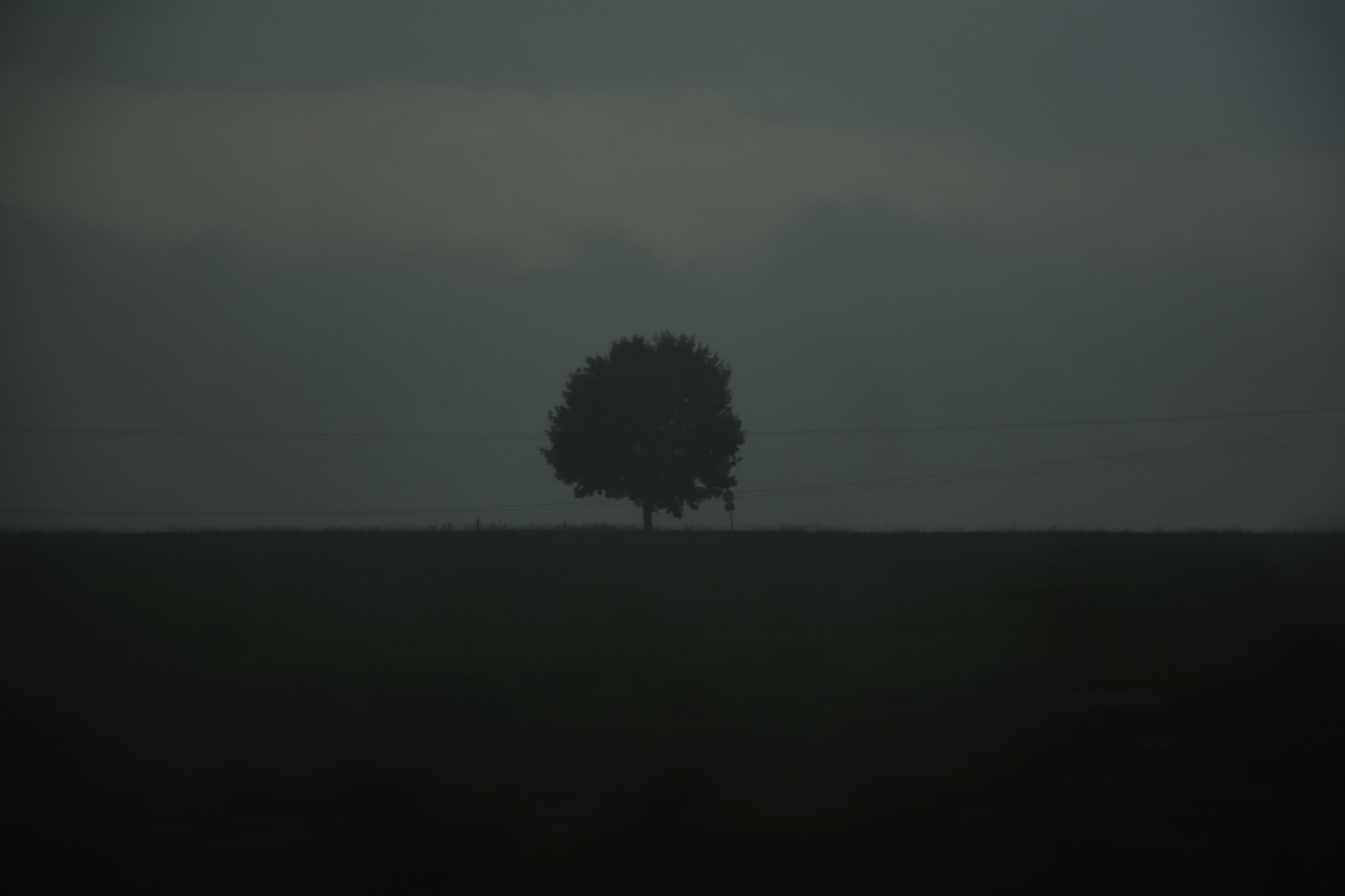 Nikon D5300 sample photo. Alone its better photography