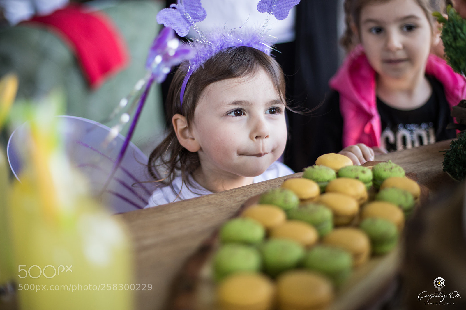 Canon EOS 5D Mark IV sample photo. Acıkmak photography