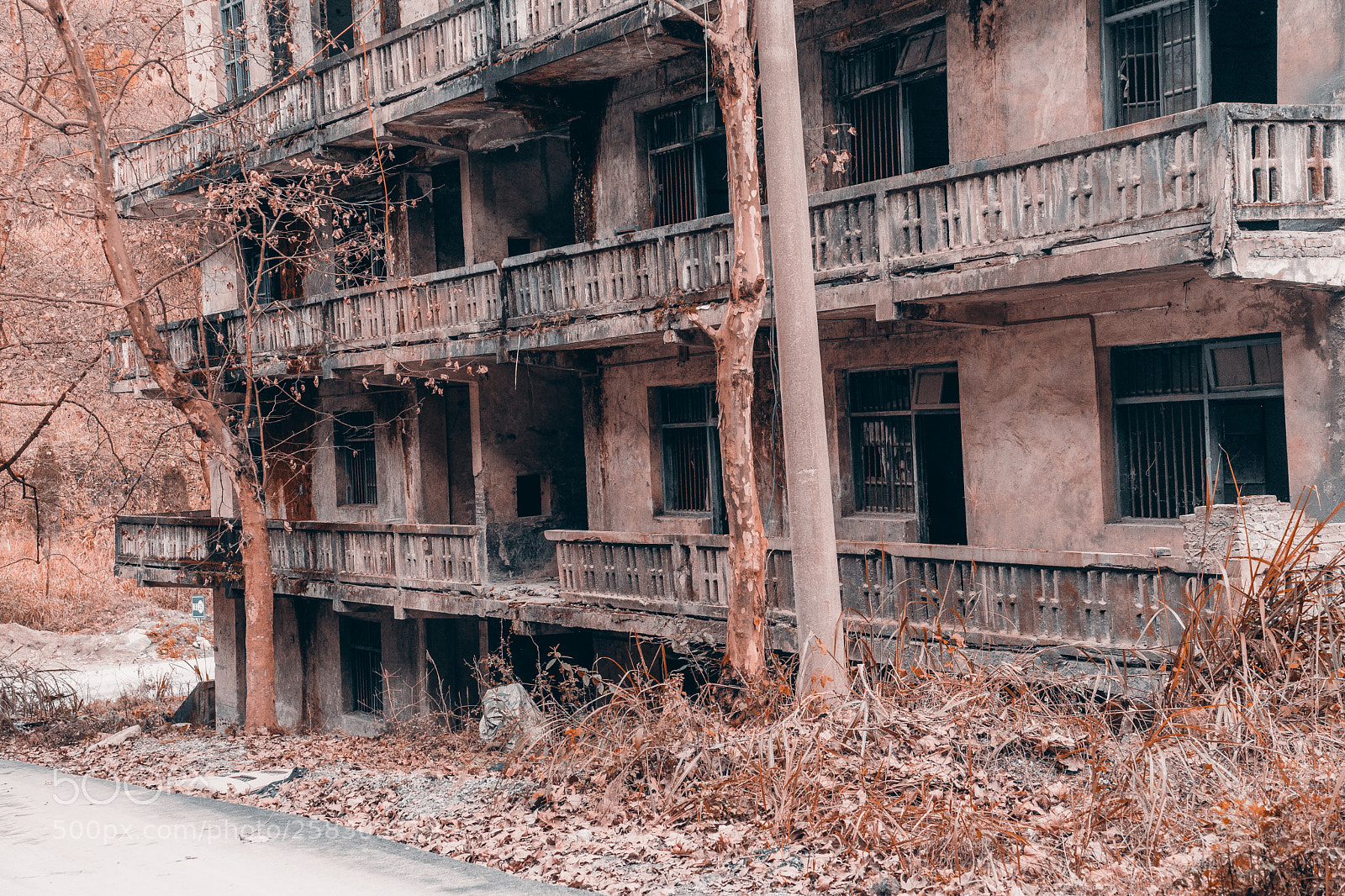 Sony a7 sample photo. Dilapidated factory photography