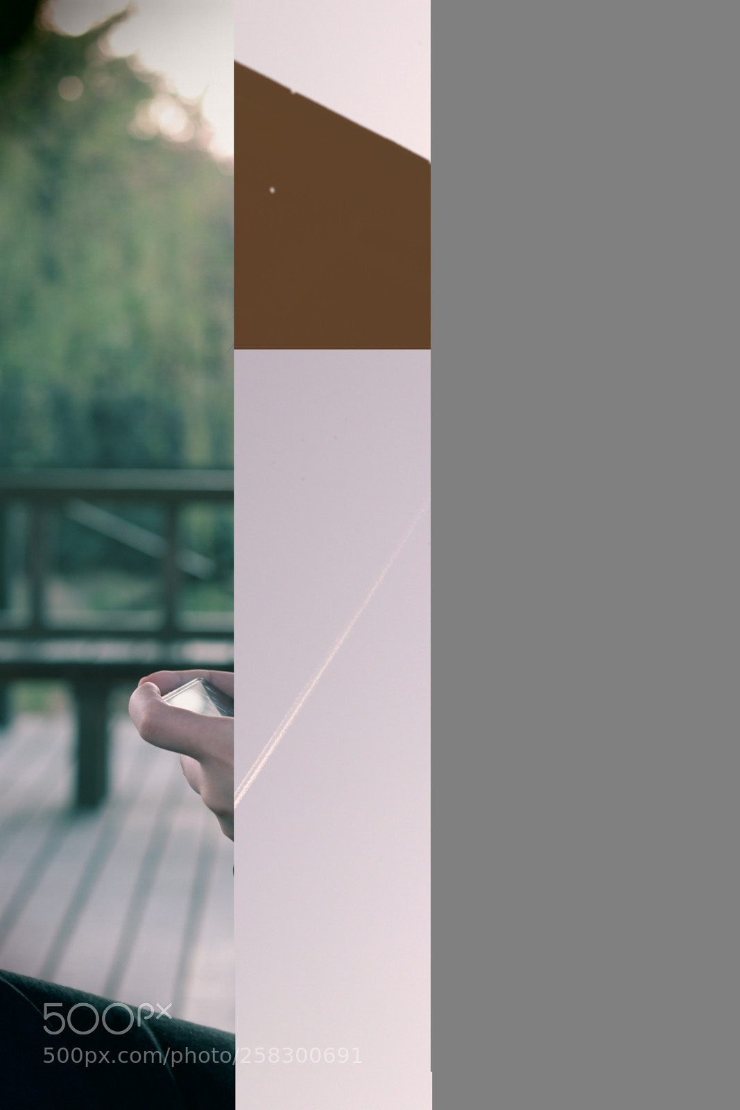 Canon EOS 80D + Canon EF 50mm F1.8 STM sample photo. Error photography