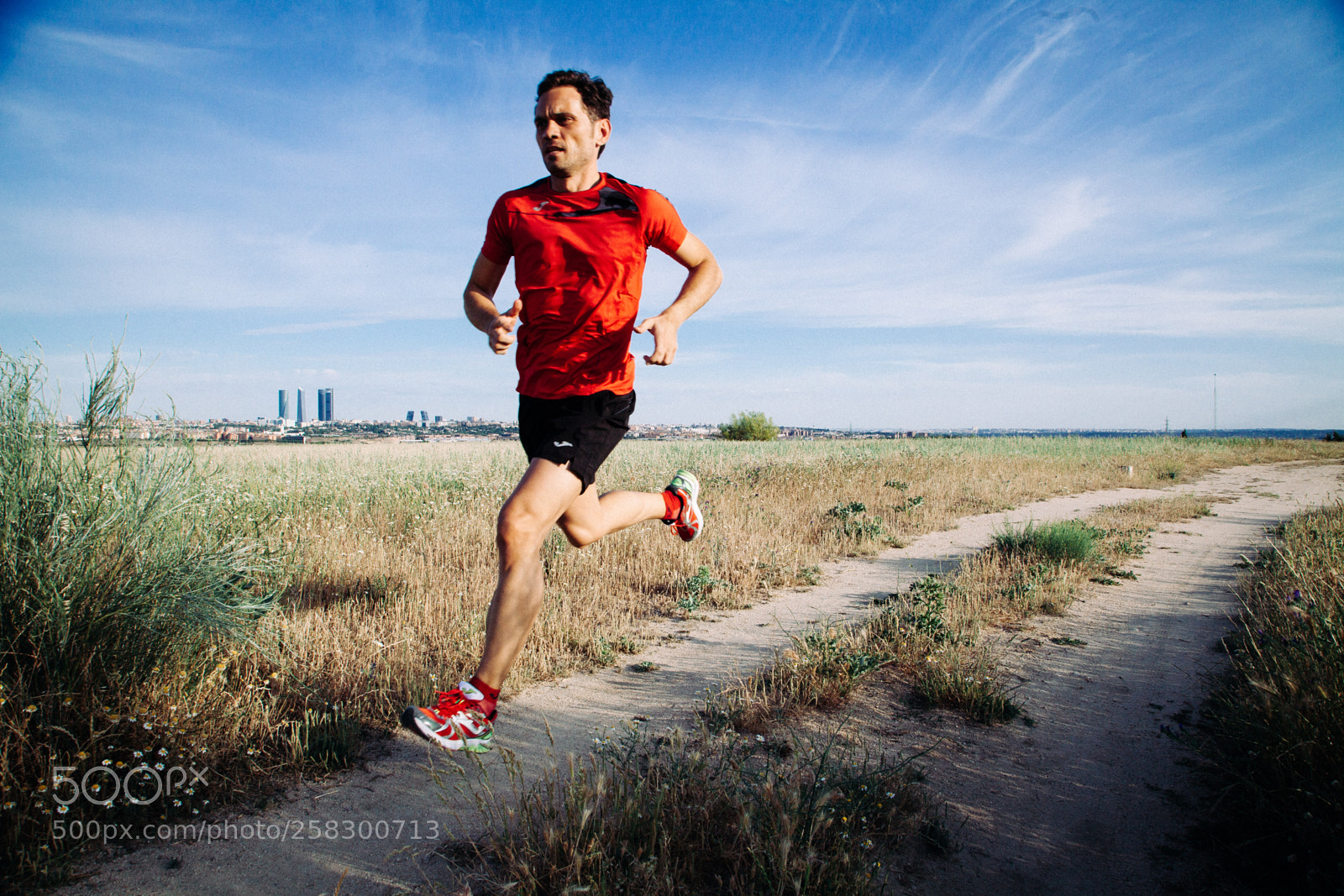 Canon EOS 5D Mark II sample photo. Marco rocha (de ) photography