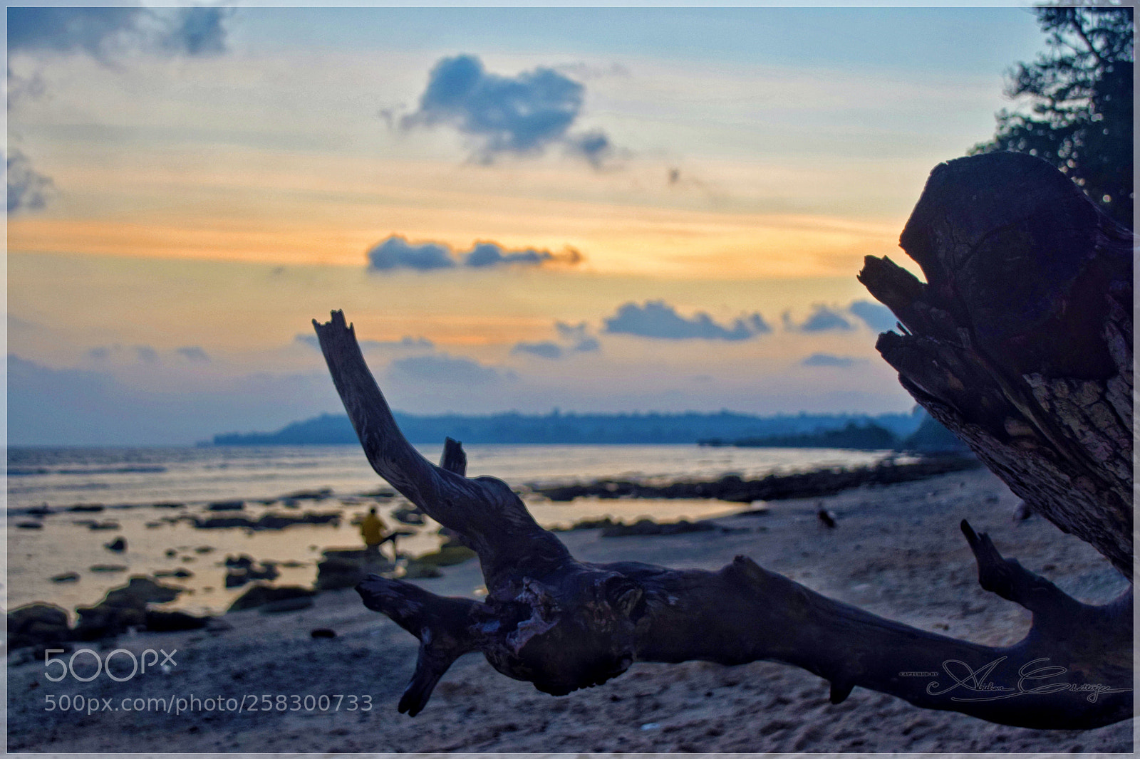 Nikon D3300 sample photo. An evening in a photography