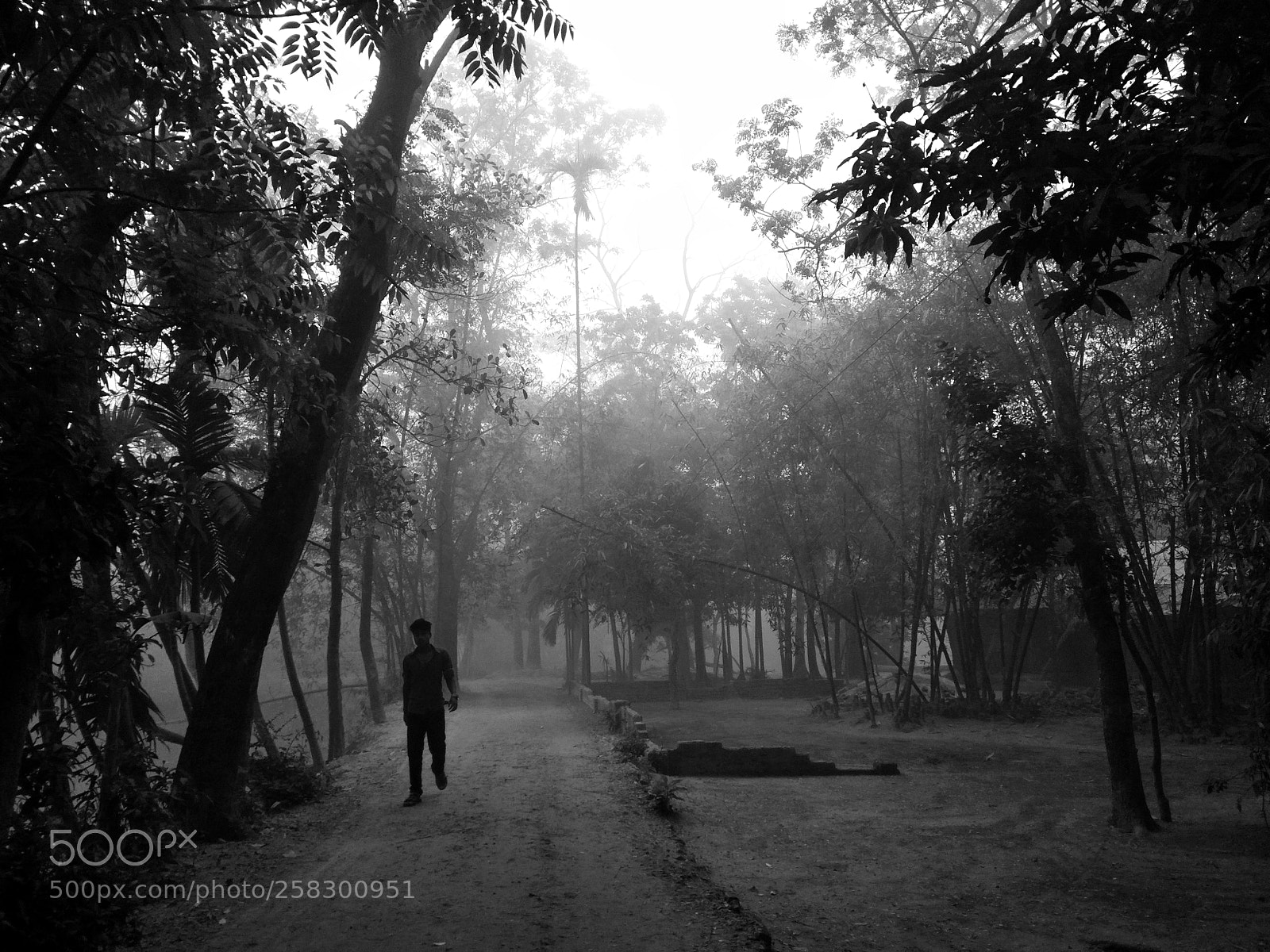 Xiaomi Redmi Note 4 sample photo. Single silhouette photography