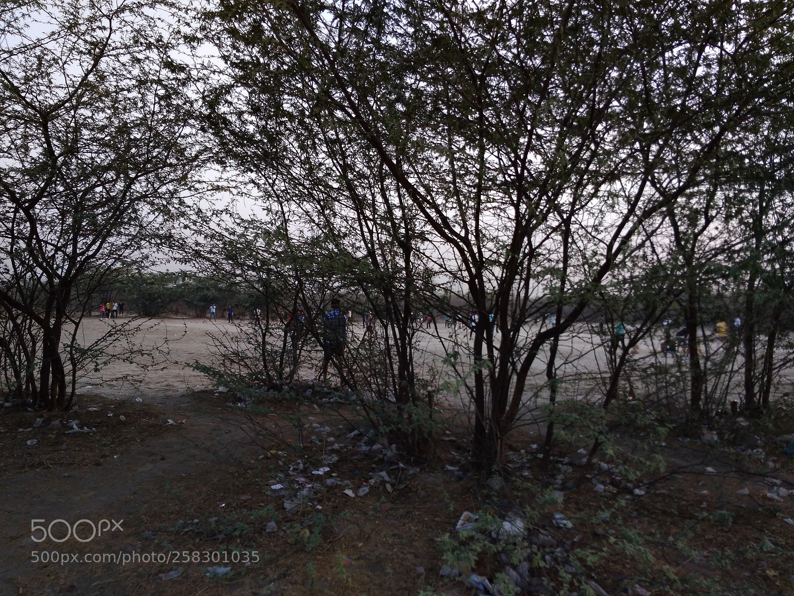 Xiaomi Redmi 4A sample photo. Untitled photography