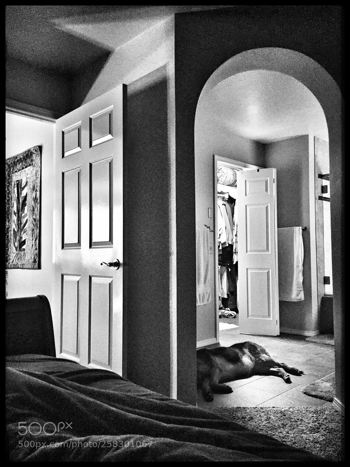 Apple iPhone 6 sample photo. View from a bedroom photography