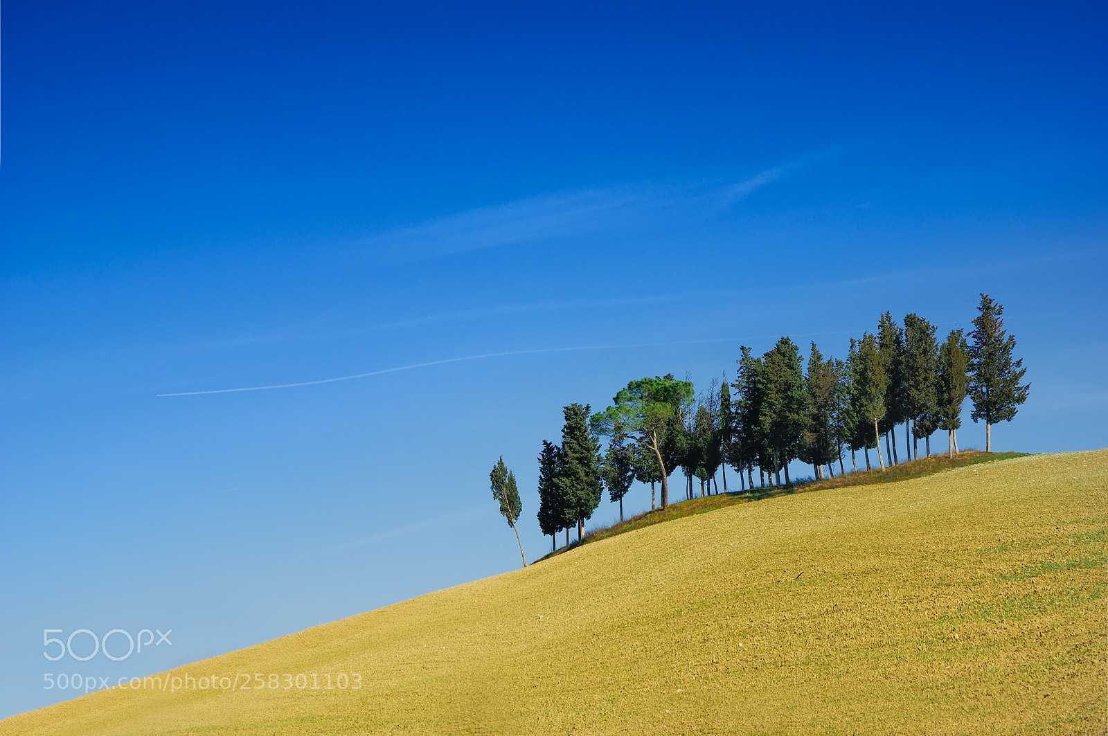 Pentax K-3 II sample photo. Senese photography