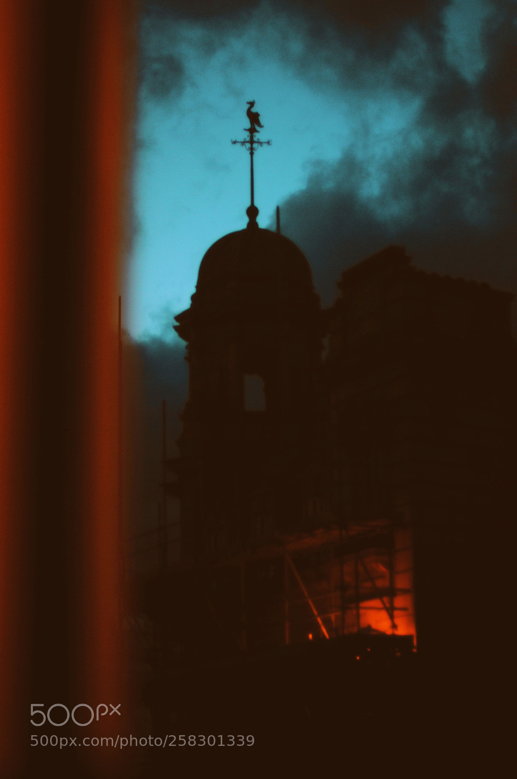 Nikon D300S sample photo. Untitled photography