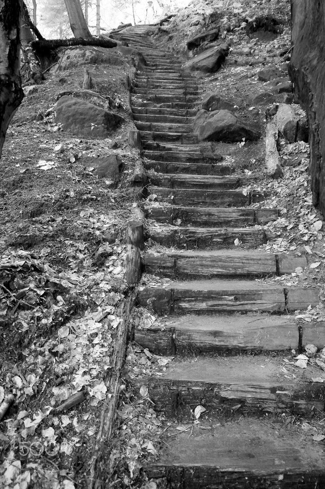 Samsung NX100 sample photo. Stairs photography