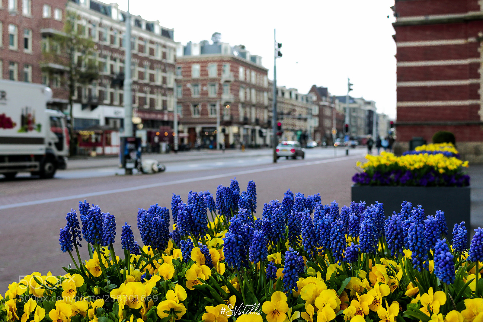 Canon EOS 70D sample photo. City flowers photography