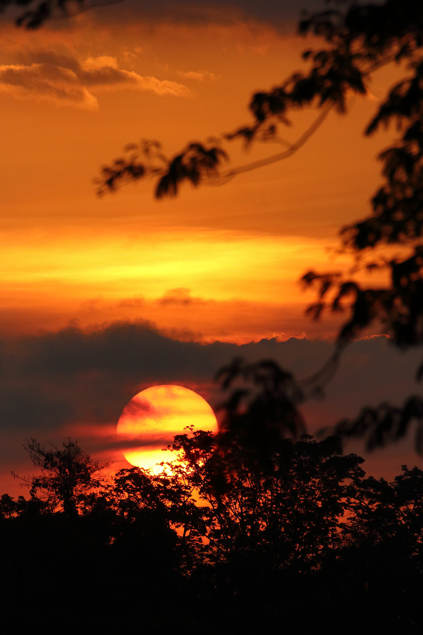 Canon EOS 7D Mark II sample photo. Coucher de soleil, côte pacifique photography
