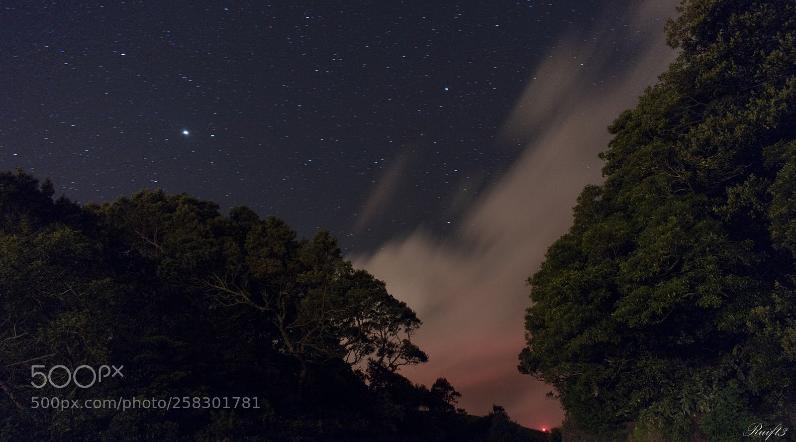 Nikon D5600 sample photo. Night at the top photography