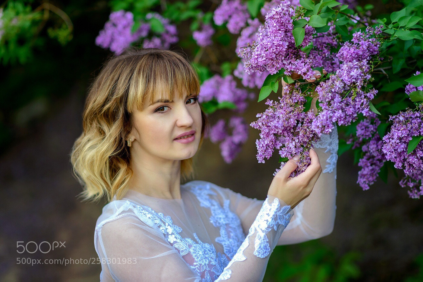 Nikon D810 sample photo. Untitled photography