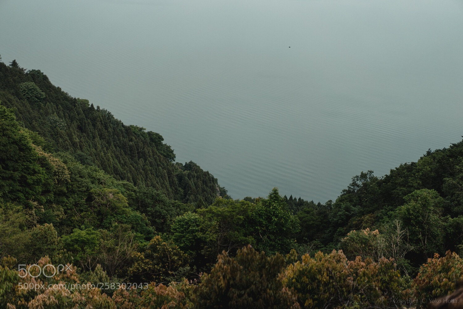 Sony a7 III sample photo. Untitled photography