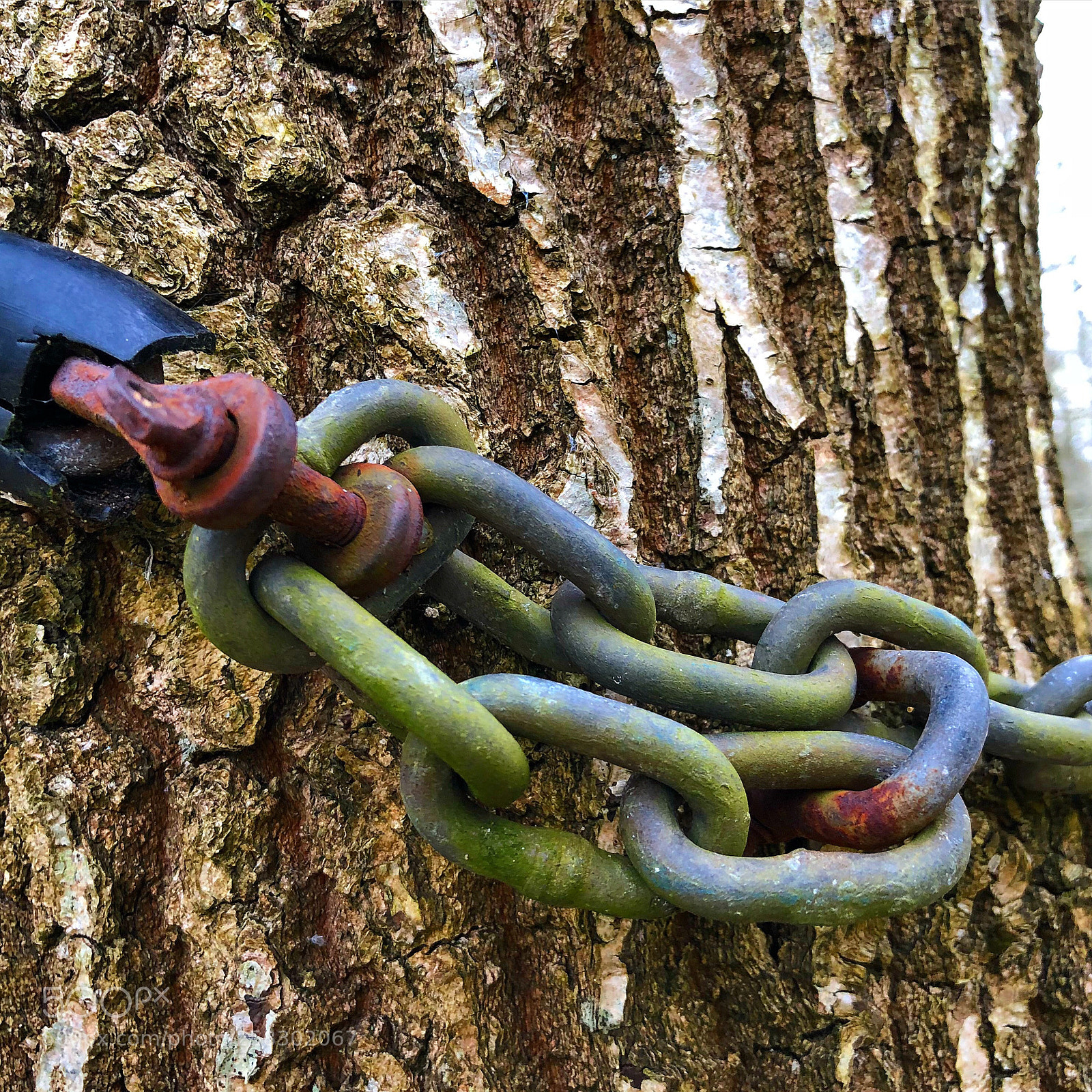Apple iPhone 8 Plus sample photo. Rusty chain photography