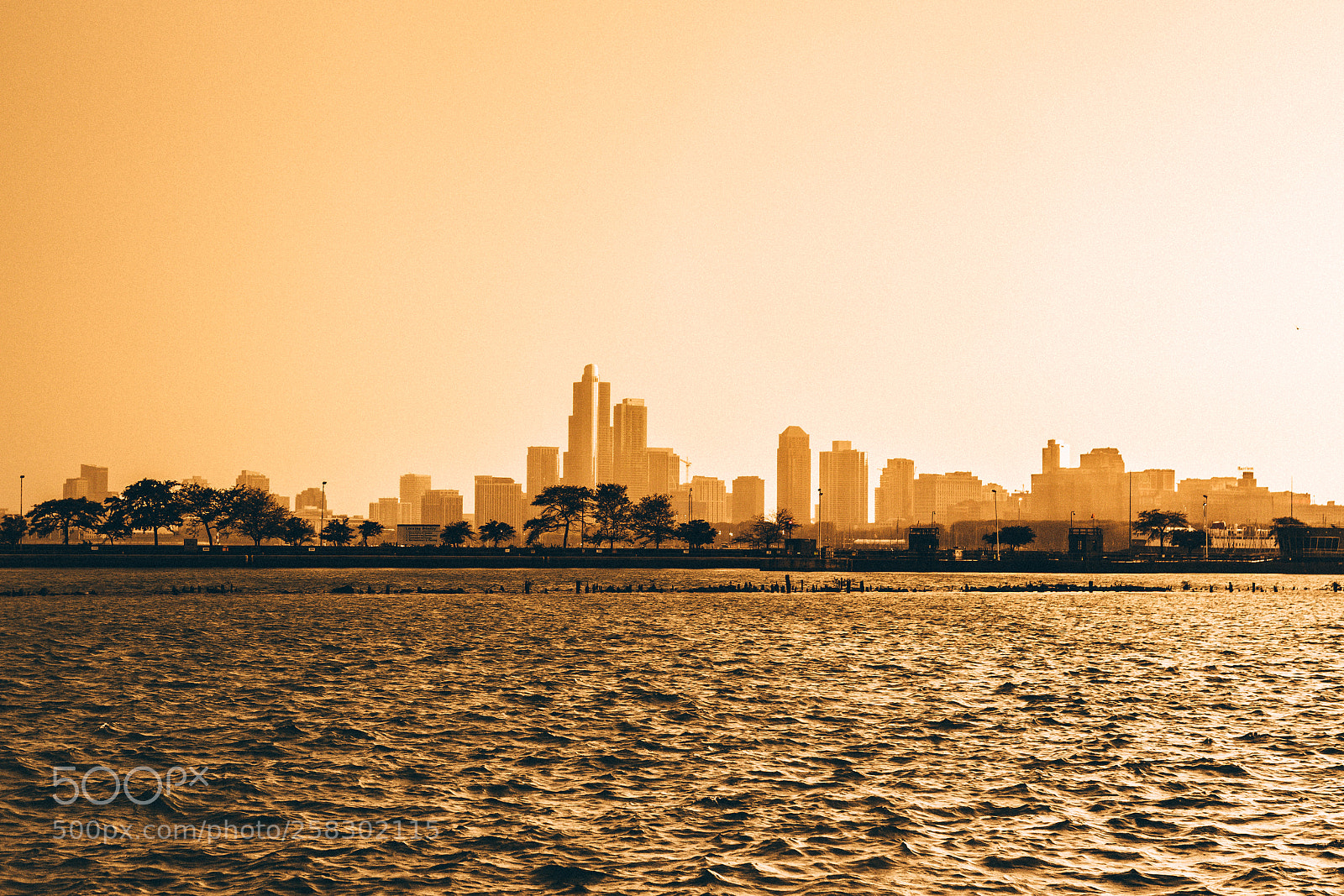 Canon EOS 6D sample photo. Golden city photography