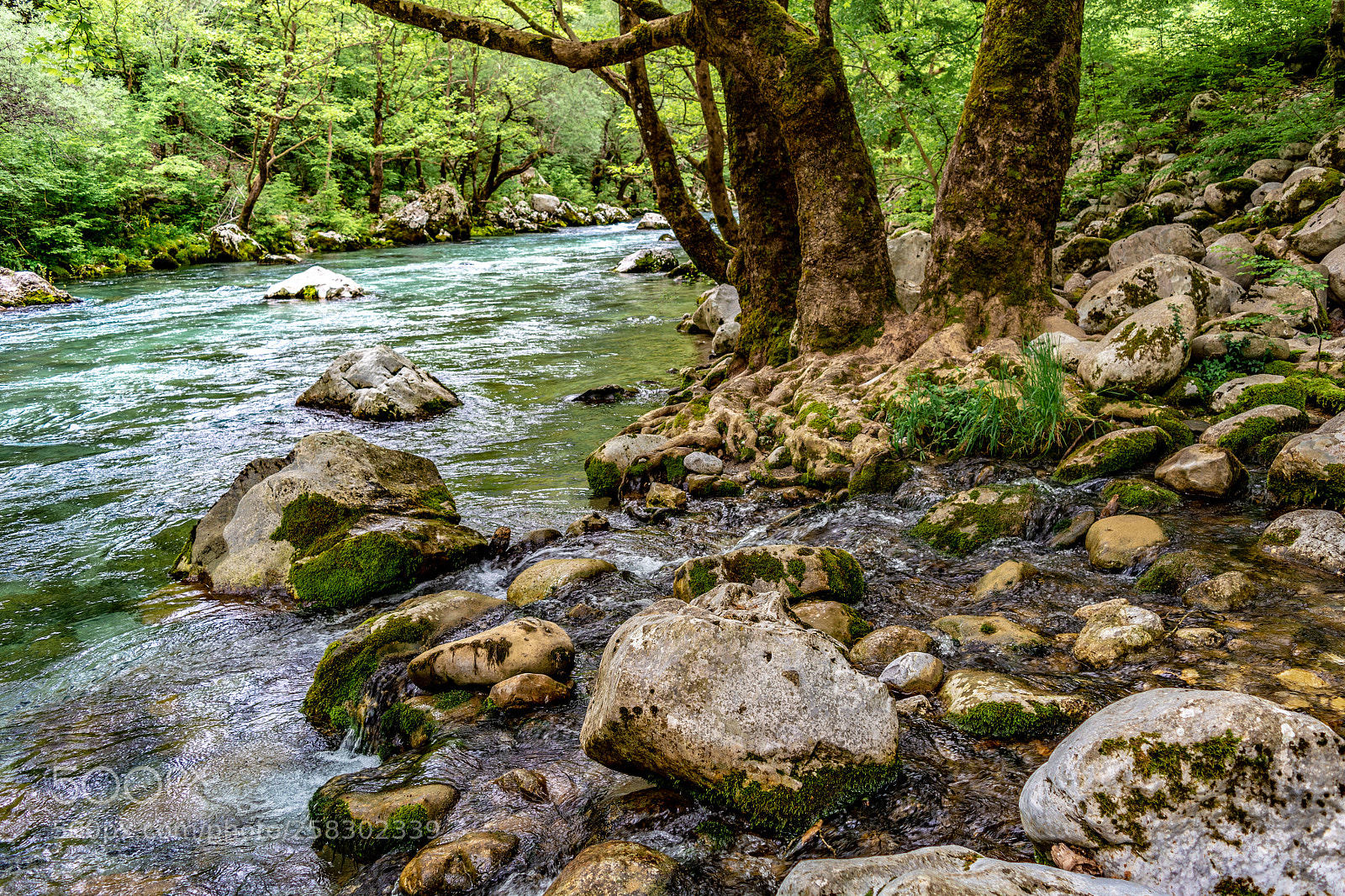 Nikon D5200 sample photo. Voidomatis river springs photography