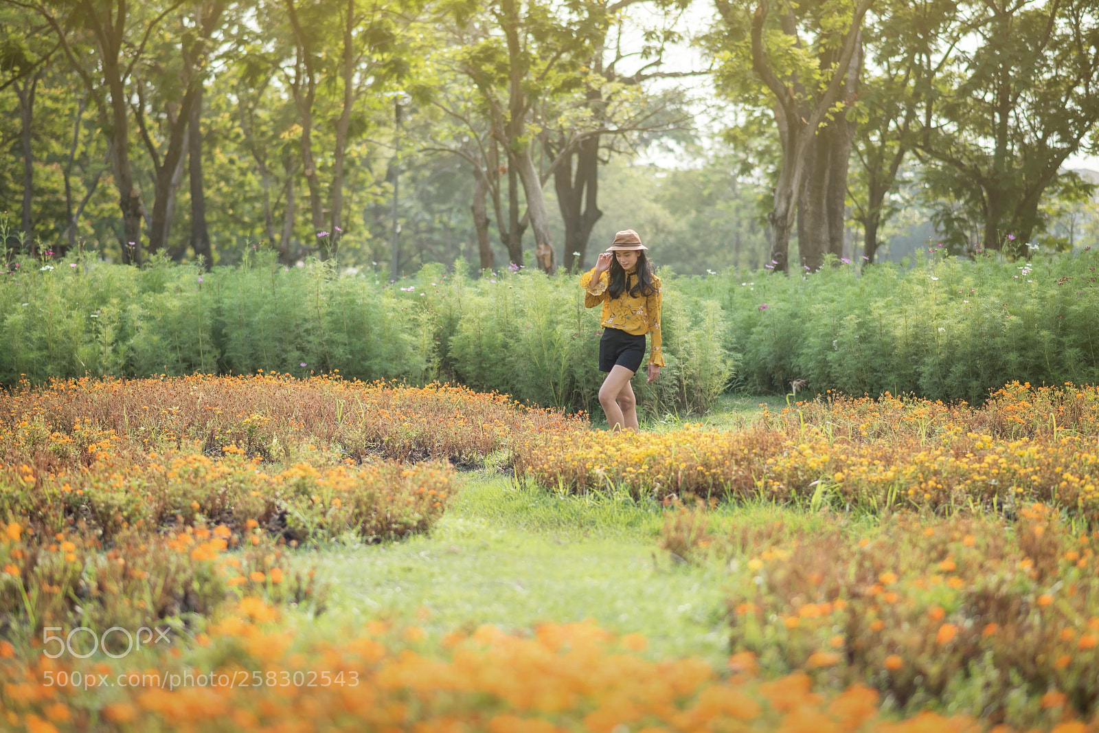Nikon D810 sample photo. Relax in spring garden photography