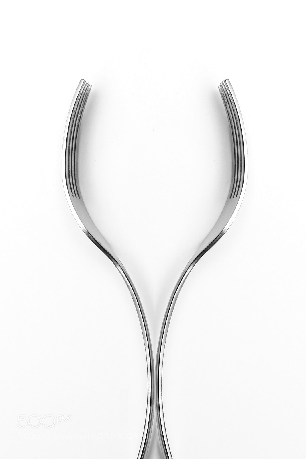 Nikon D750 sample photo. Two forks in a photography