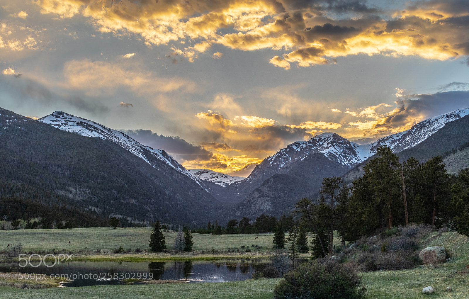 Canon EOS 80D sample photo. Sheep lakes photography