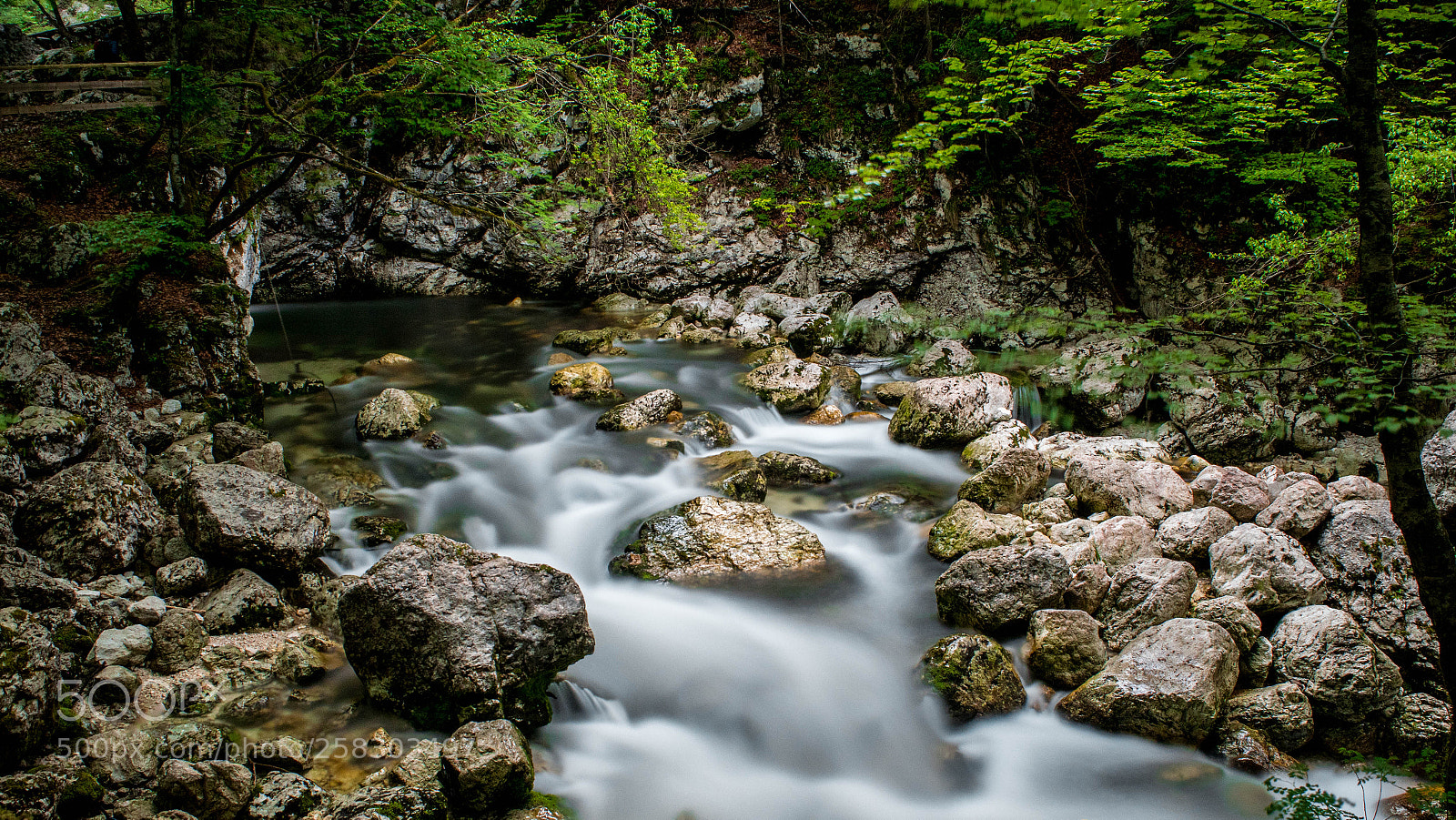 Nikon D5500 sample photo. River in the forest photography