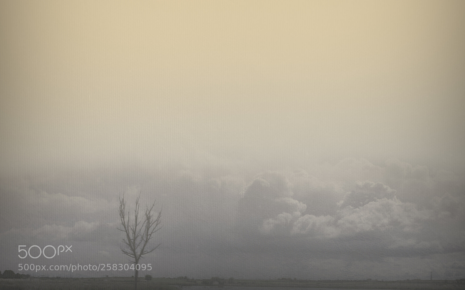 Nikon D500 sample photo. Lonely tree and sky photography