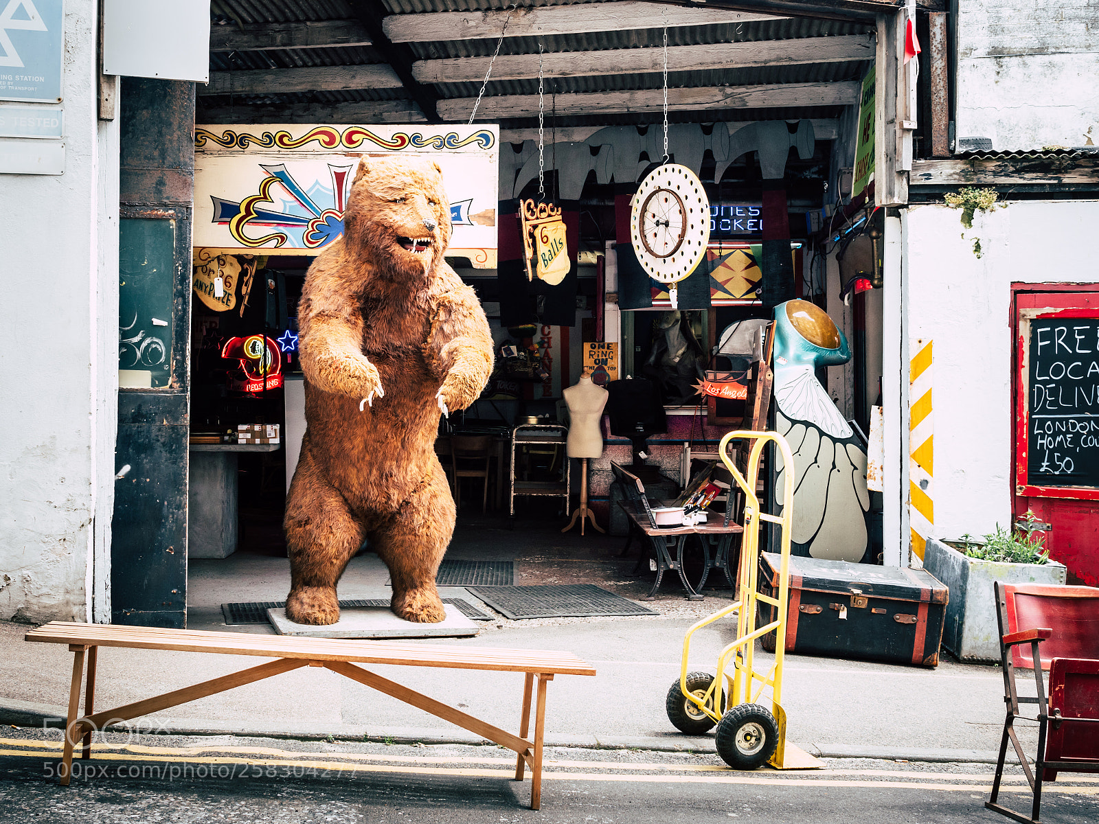 Panasonic Lumix DMC-GX8 sample photo. Bear photography