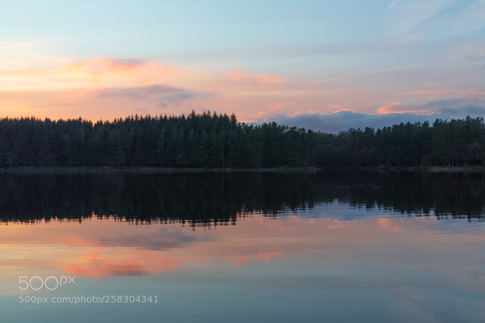 Canon EOS 5D Mark IV sample photo. Entwistle photography